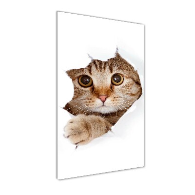 Foto obraz na ścianę akryl pionowy Kot