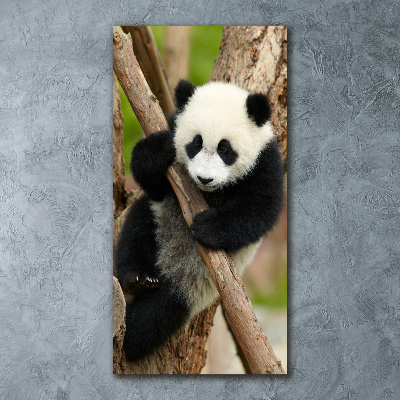 Foto obraz akryl pionowy Panda na drzewie