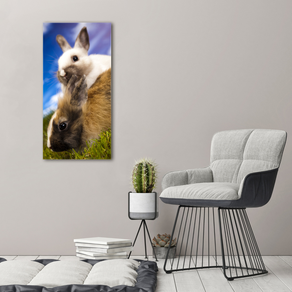 Foto obraz akryl pionowy Dwa króliki