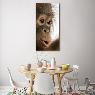 Foto obraz szkło akryl pionowy Młody orangutan