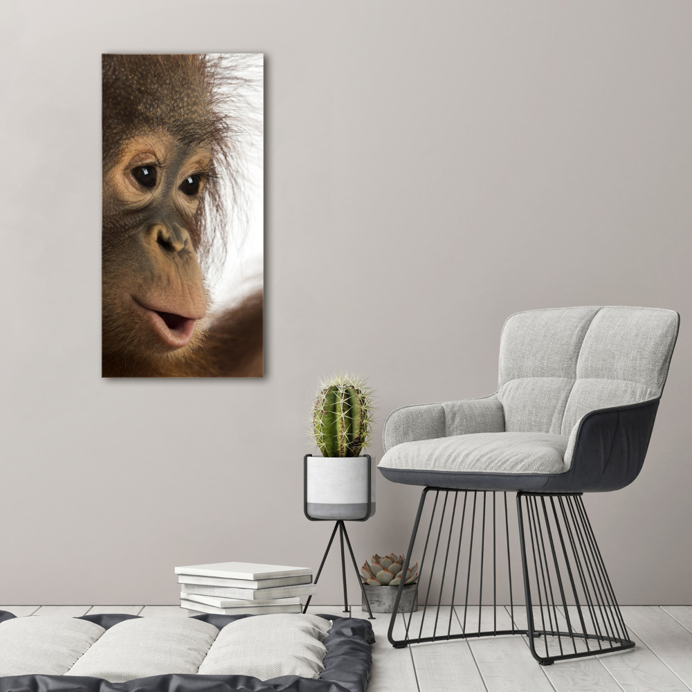Foto obraz szkło akryl pionowy Młody orangutan