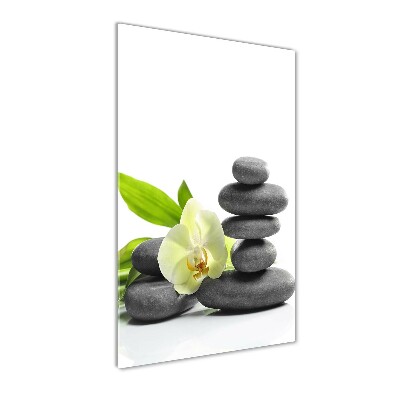 Foto obraz szkło akryl pionowy Orchidea i kamienie
