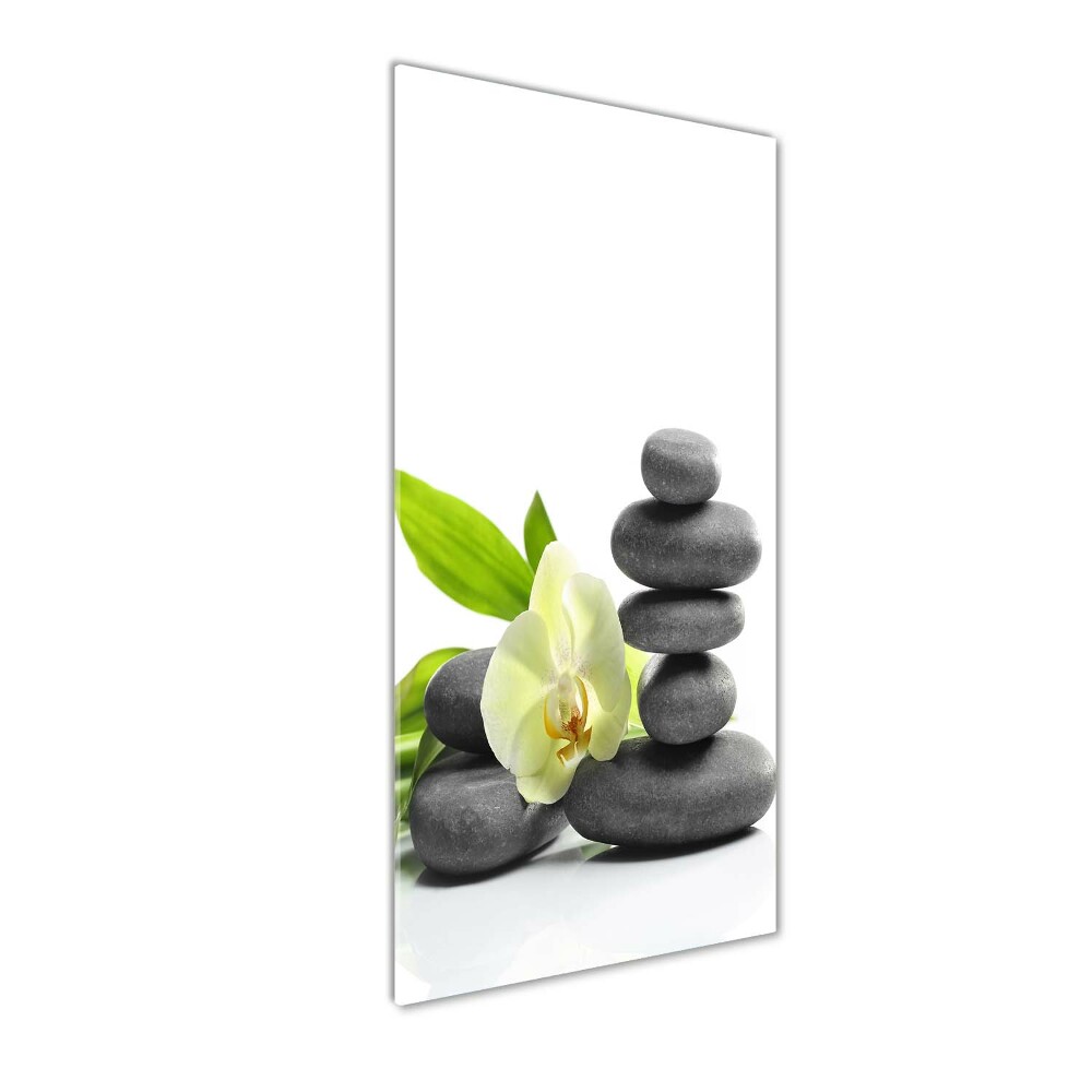 Foto obraz szkło akryl pionowy Orchidea i kamienie