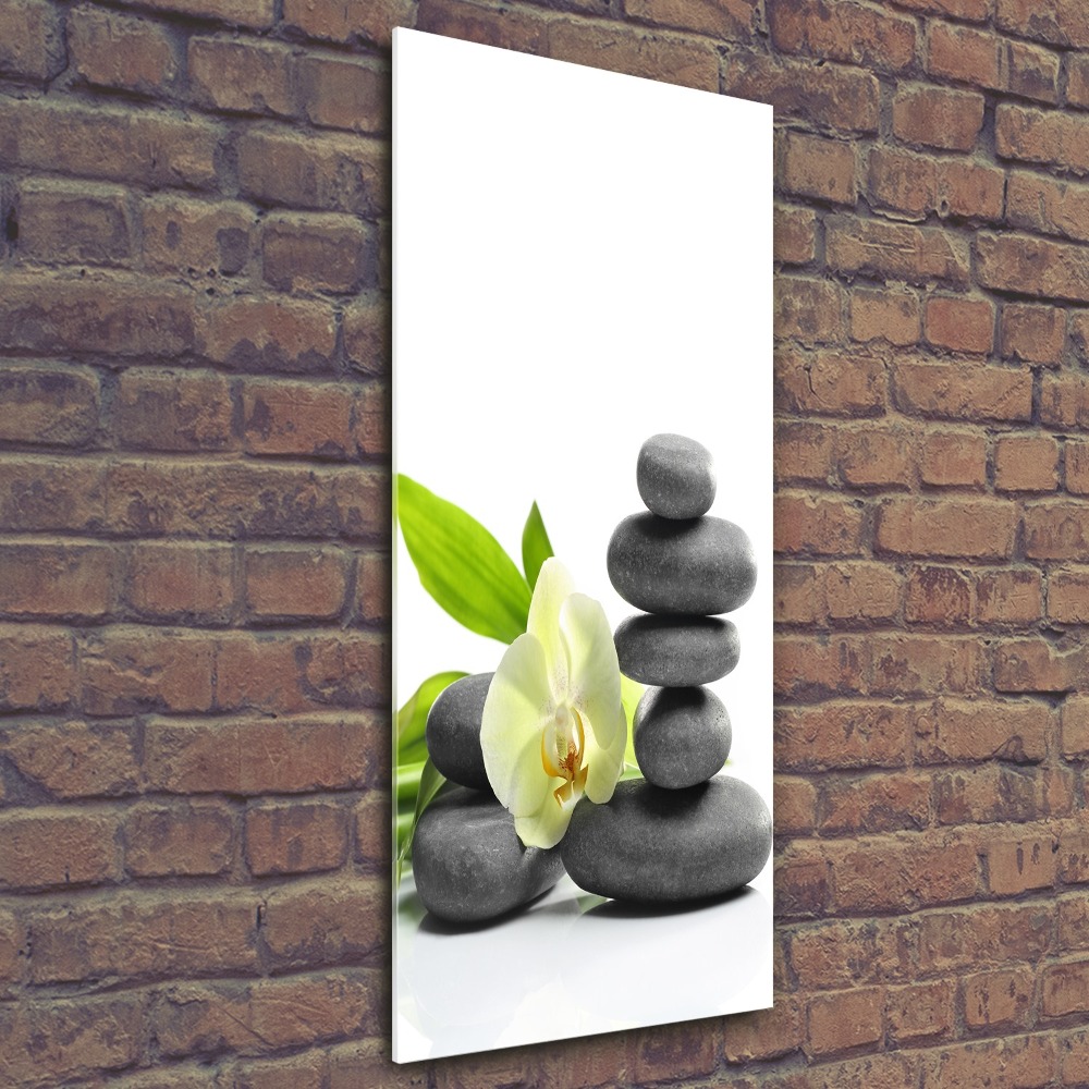 Foto obraz szkło akryl pionowy Orchidea i kamienie