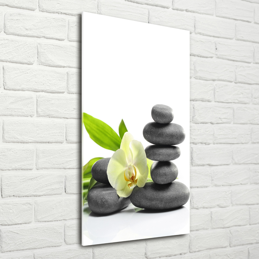 Foto obraz szkło akryl pionowy Orchidea i kamienie