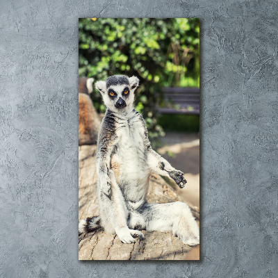 Foto obraz akryl pionowy Lemur