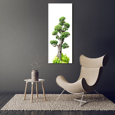 Obraz zdjęcie szkło akryl pionowy Drzewo bonsai