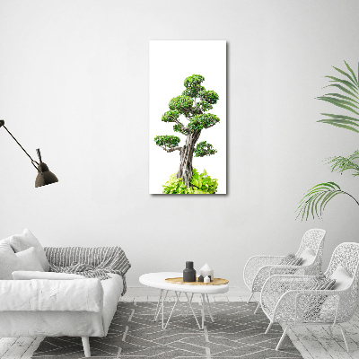 Obraz zdjęcie szkło akryl pionowy Drzewo bonsai