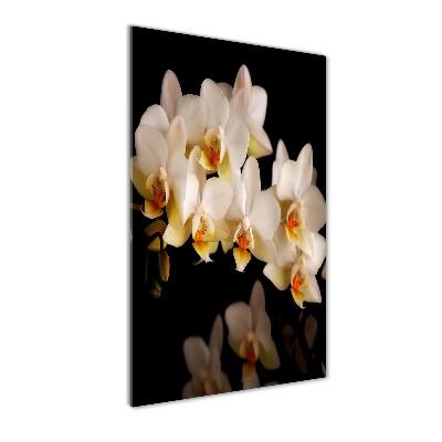 Foto obraz szkło akryl pionowy Orchidea