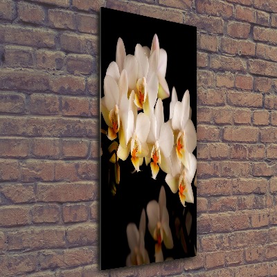 Foto obraz szkło akryl pionowy Orchidea