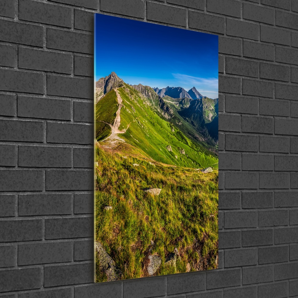 Foto obraz szkło akryl pionowy Tatry