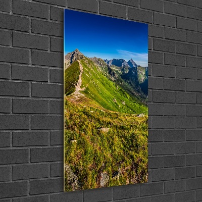 Foto obraz szkło akryl pionowy Tatry