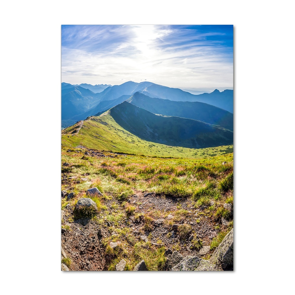 Foto obraz szkło akryl pionowy Tatry