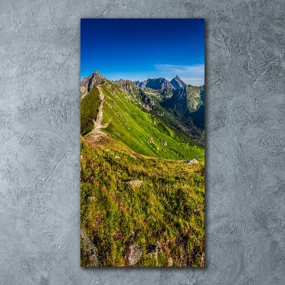 Foto obraz szkło akryl pionowy Tatry