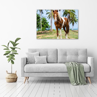 Foto obraz canvas Łaciaty koń