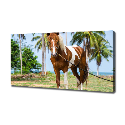 Foto obraz canvas Łaciaty koń