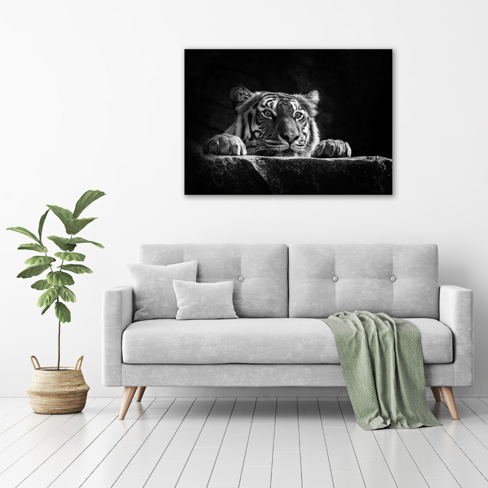 Duży foto obraz na ścianę canvas Tygrys