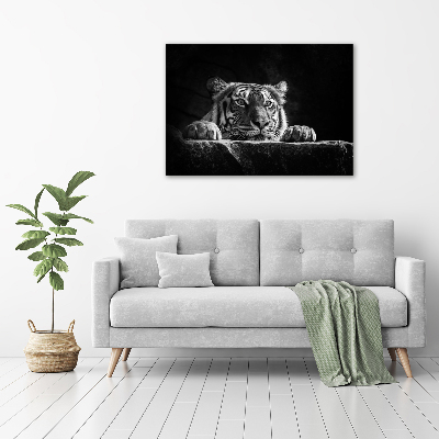 Duży foto obraz na ścianę canvas Tygrys