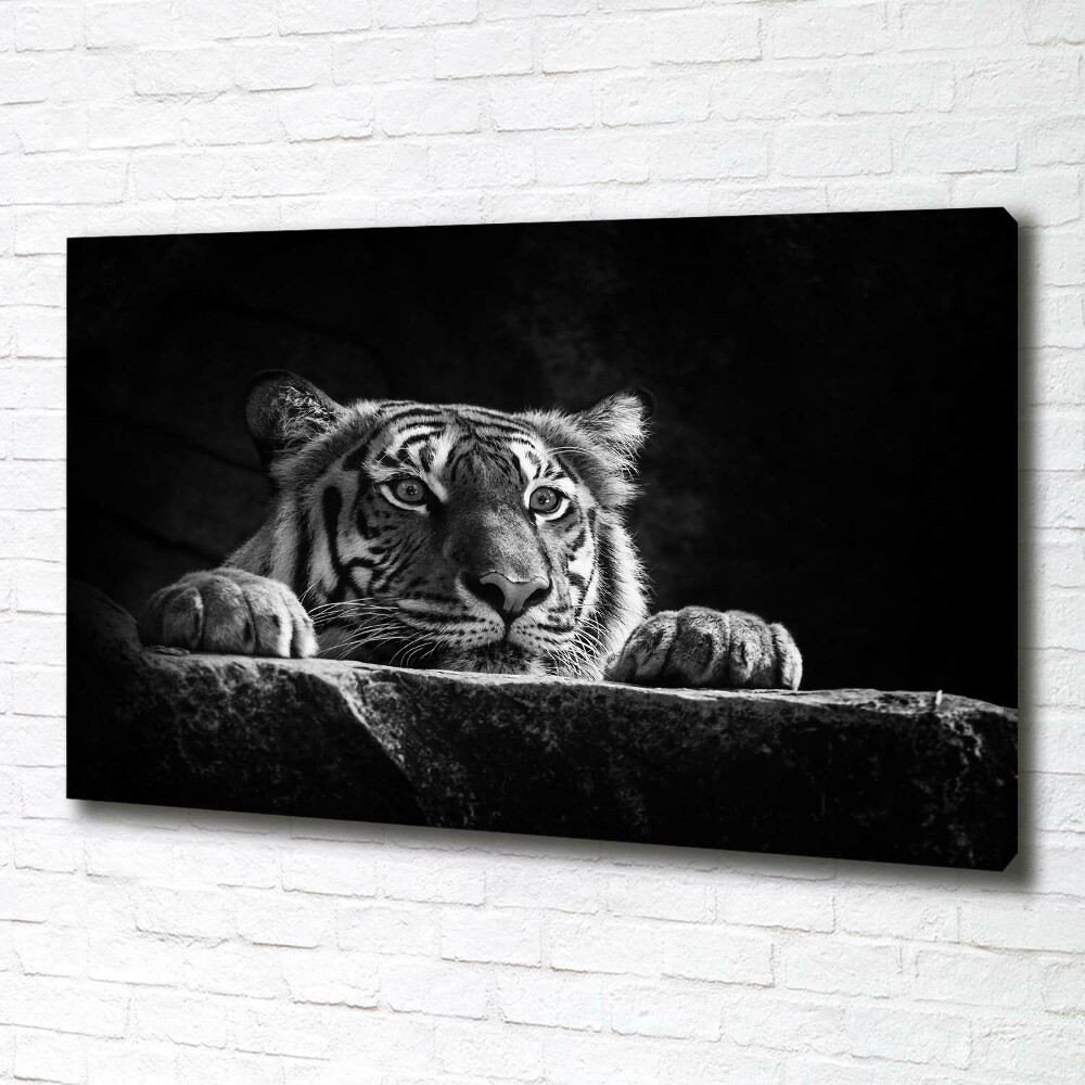 Duży foto obraz na ścianę canvas Tygrys