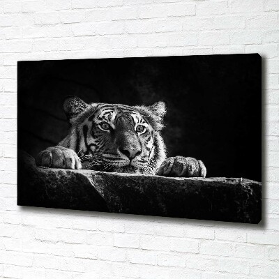 Duży foto obraz na ścianę canvas Tygrys