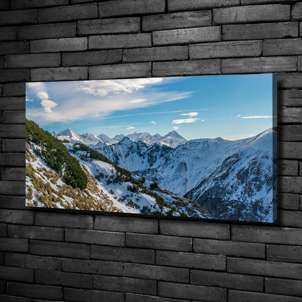 Foto obraz canvas Korona Tatr