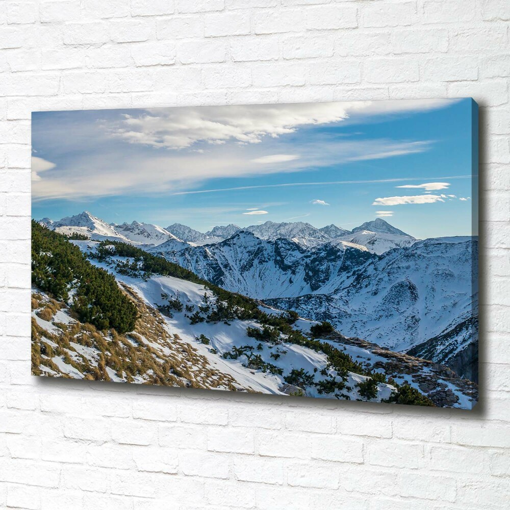 Foto obraz canvas Korona Tatr