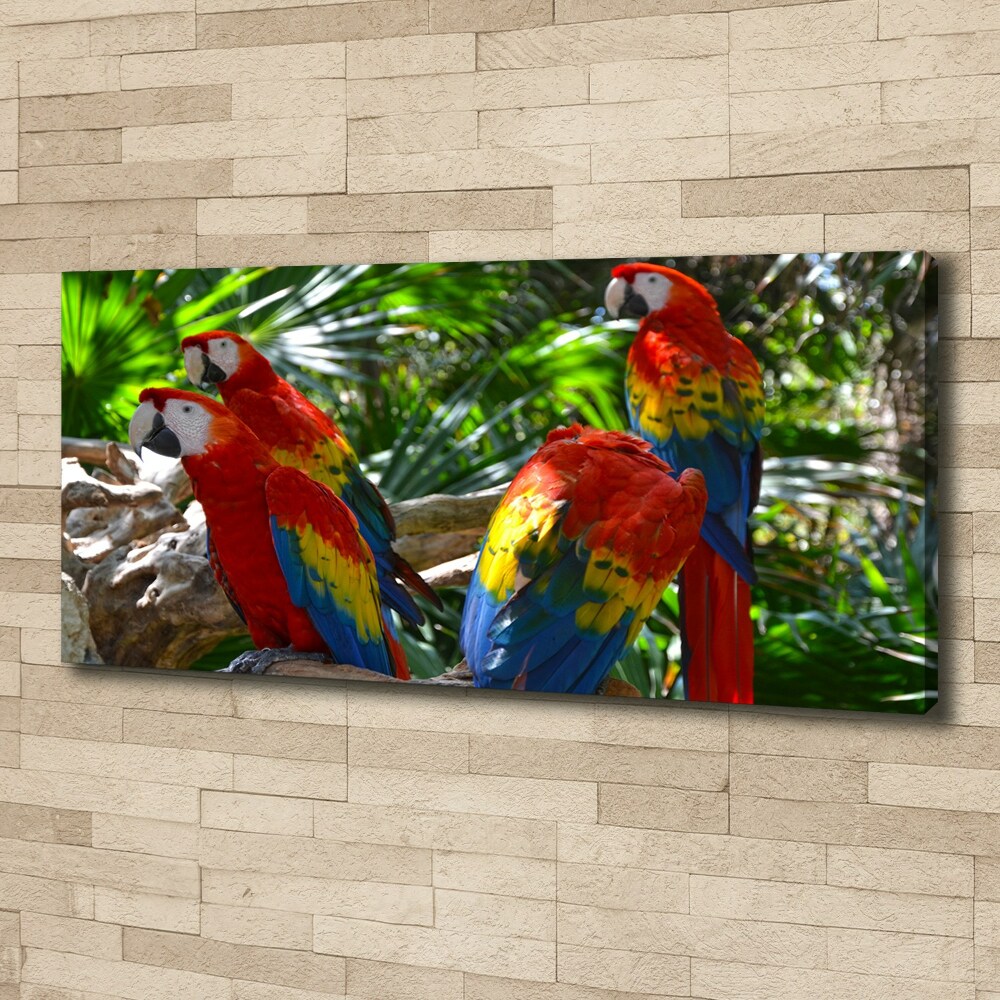 Foto obraz canvas Papugi Ary