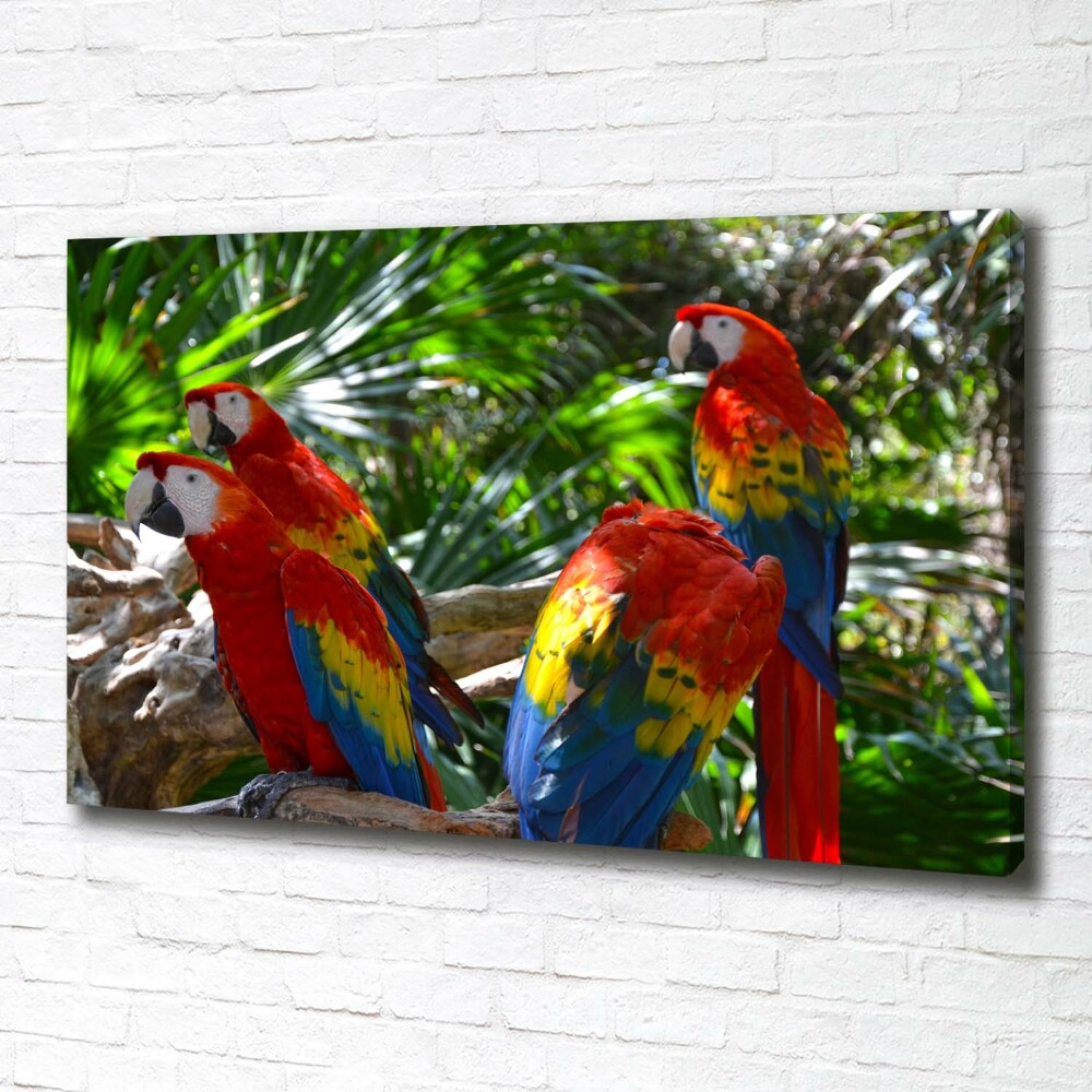 Foto obraz canvas Papugi Ary