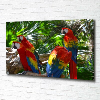 Foto obraz canvas Papugi Ary