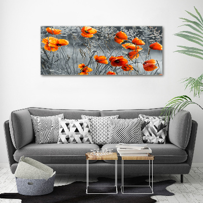 Foto obraz canvas Polne maki