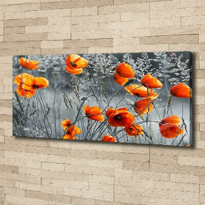 Foto obraz canvas Polne maki