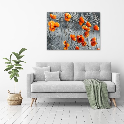 Foto obraz canvas Polne maki