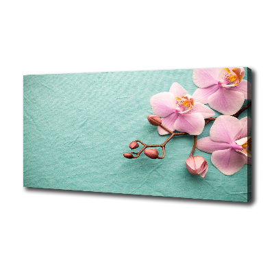 Foto obraz canvas Orchidea