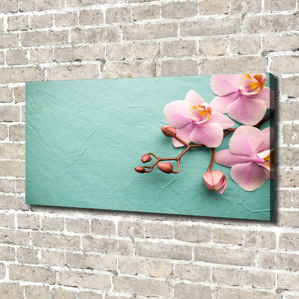 Foto obraz canvas Orchidea