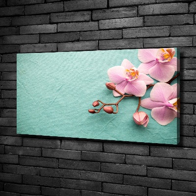 Foto obraz canvas Orchidea