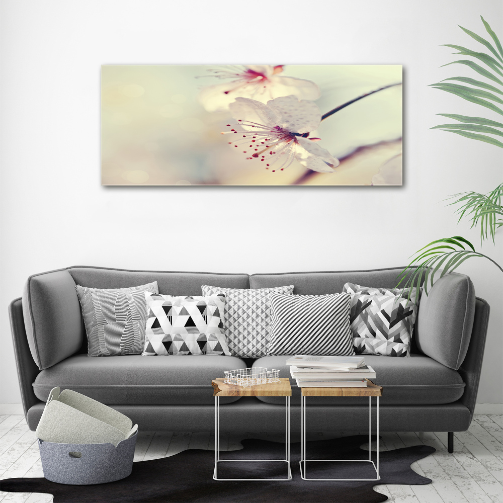 Foto obraz canvas Kwiat wiśni