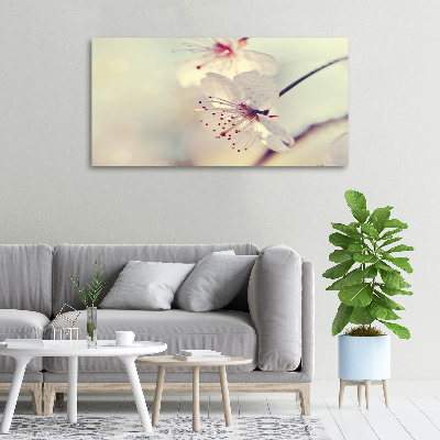 Foto obraz canvas Kwiat wiśni