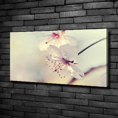 Foto obraz canvas Kwiat wiśni