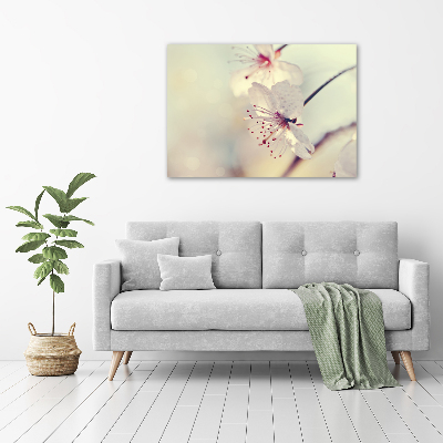 Foto obraz canvas Kwiat wiśni