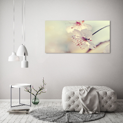 Foto obraz canvas Kwiat wiśni
