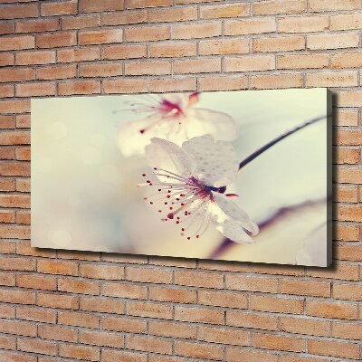 Foto obraz canvas Kwiat wiśni