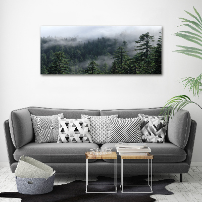 Foto obraz canvas Leśna mgła