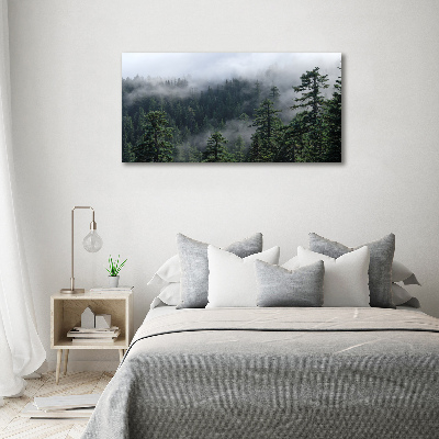 Foto obraz canvas Leśna mgła