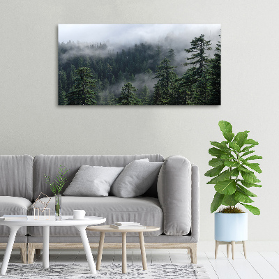 Foto obraz canvas Leśna mgła