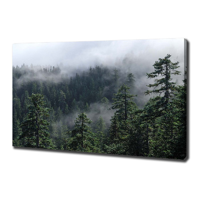 Foto obraz canvas Leśna mgła