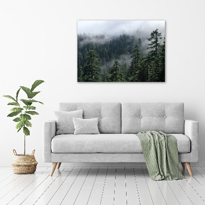 Foto obraz canvas Leśna mgła