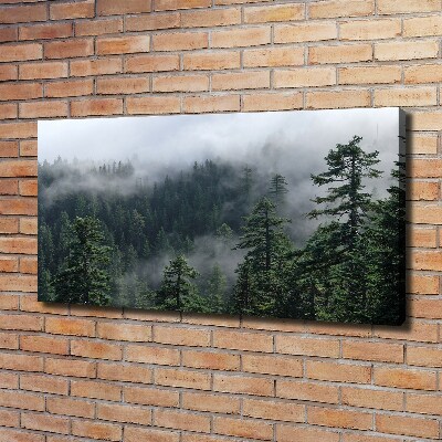 Foto obraz canvas Leśna mgła