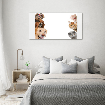 Foto obraz canvas Psy i koty