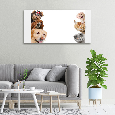 Foto obraz canvas Psy i koty