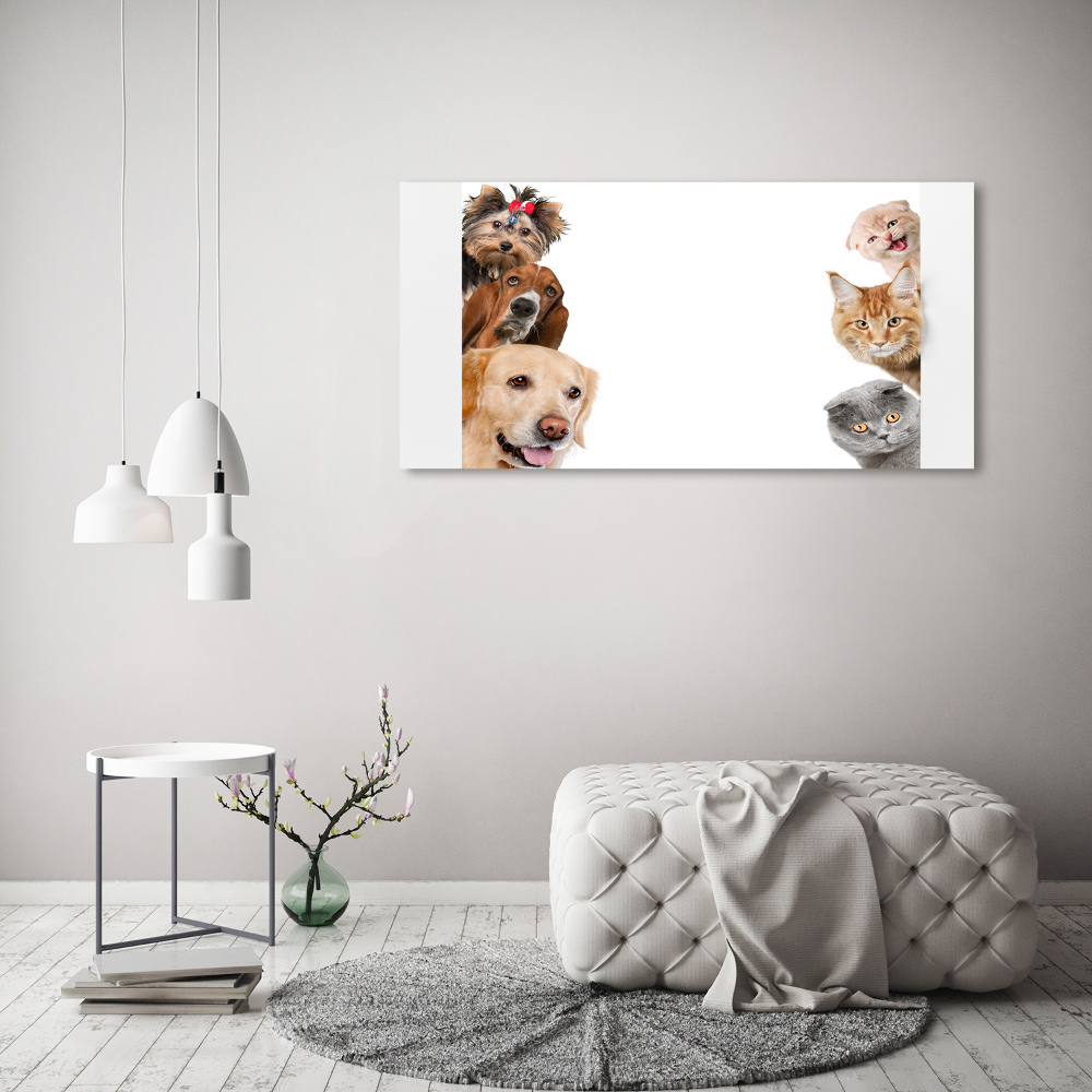 Foto obraz canvas Psy i koty